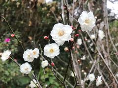 -广州市白云山风景名胜区