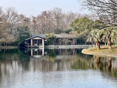 -上海共青森林公园