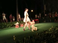 -渔家火锅·海鲜自助餐·演艺(亚龙湾天域酒店)