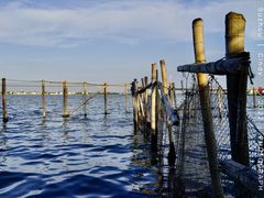 -祝甸砖窑文化馆