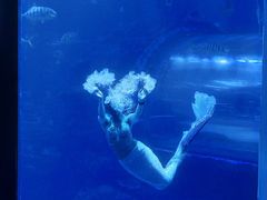 -太平洋海底世界