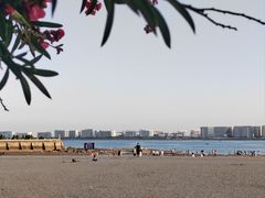 -龙舟池
