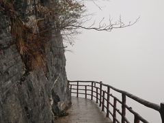 -鹿院坪生态旅游景区