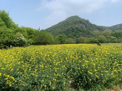 -八卦田遗址公园