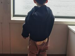 -丹东路渡口(轮渡站)