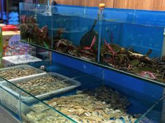 -辣盆盆麻辣小龙虾(哈尔滨总店)