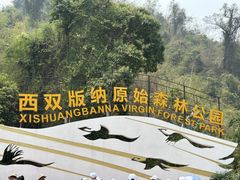 -西双版纳原始森林公园