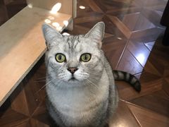 -隅cafe(傅厚岗店)