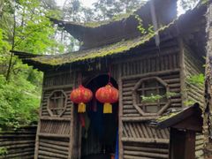 -峡谷浮石林景区