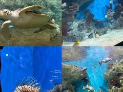-福州罗源湾海洋世界旅游区