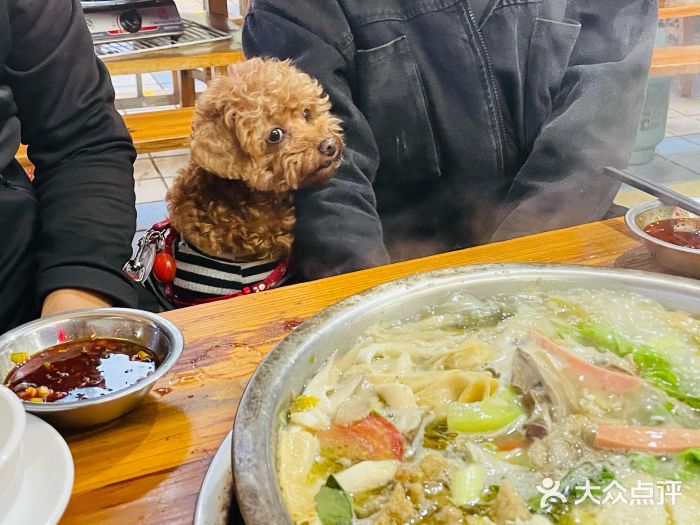 陈记泸州酸菜豆花火锅(建设路店)荤豆花图片