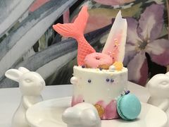 美人鱼重生-随心小姐