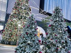 -东莞松山湖万象汇