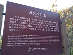 -大连天门山国家森林公园