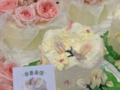 -山与蓝·轻糖鲜果蛋糕(勒泰店)