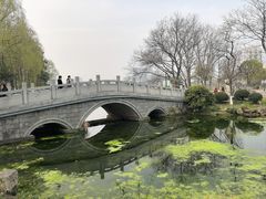 -月湖风景区
