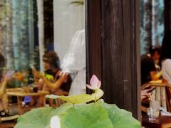 -Metal hands·铁手咖啡