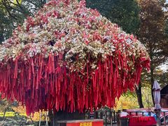 -狼山风景名胜区