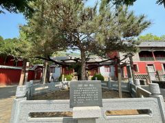 -泰山风景名胜区-普照寺