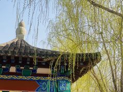 -莲花池公园