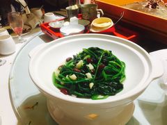 芸豆菠菜-九十九顶毡房(阜石路店)