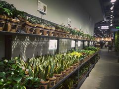 -鹿岛会员店 (龙湖三千集天街店)