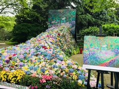 -上海共青森林公园