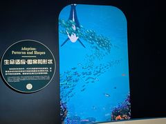 -广东科学中心