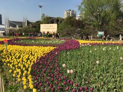-大宁灵石公园西门票处