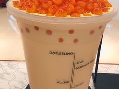 -KOI Thé(力宝广场店)