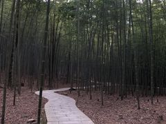 -广州市石门国家森林公园