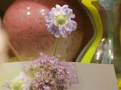 -G·SPACE(金鹰世界店)