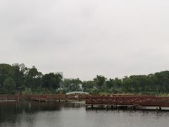 -金银湖国家城市湿地公园