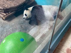 -石家庄市动物园