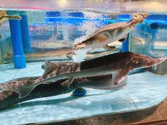 -阿伟海鲜楼·福建菜(延寿店)