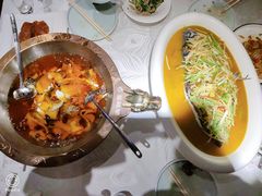 -雲蜀龙阁·金牌水煮鱼(方庄店)