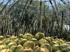 -深圳仙湖植物园
