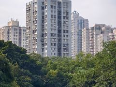 -晓港公园