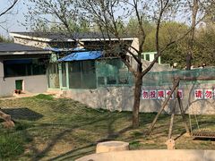 -石家庄市动物园