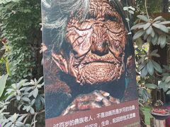 -呀路古热带植物园