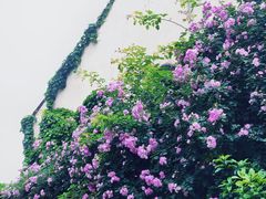 -老门东历史文化街区