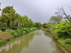 -水八仙生态园