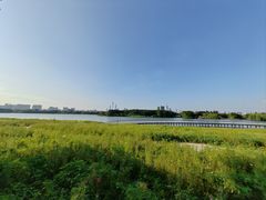 -海珠湖公园