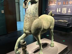 -广西壮族自治区博物馆