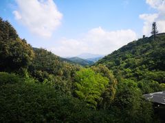 -黄贤山庄