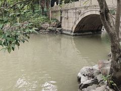 -瀛洲公园