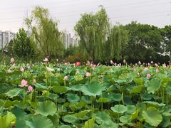 -太阳宫公园