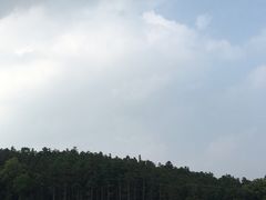 -大塘金香草谷