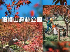 -广州市帽峰山景区