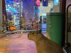 -正佳雨林生态植物园